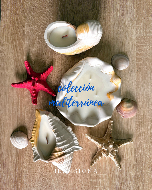 LIQUIDACIÓN COLECCIÓN MEDITERRÁNEA