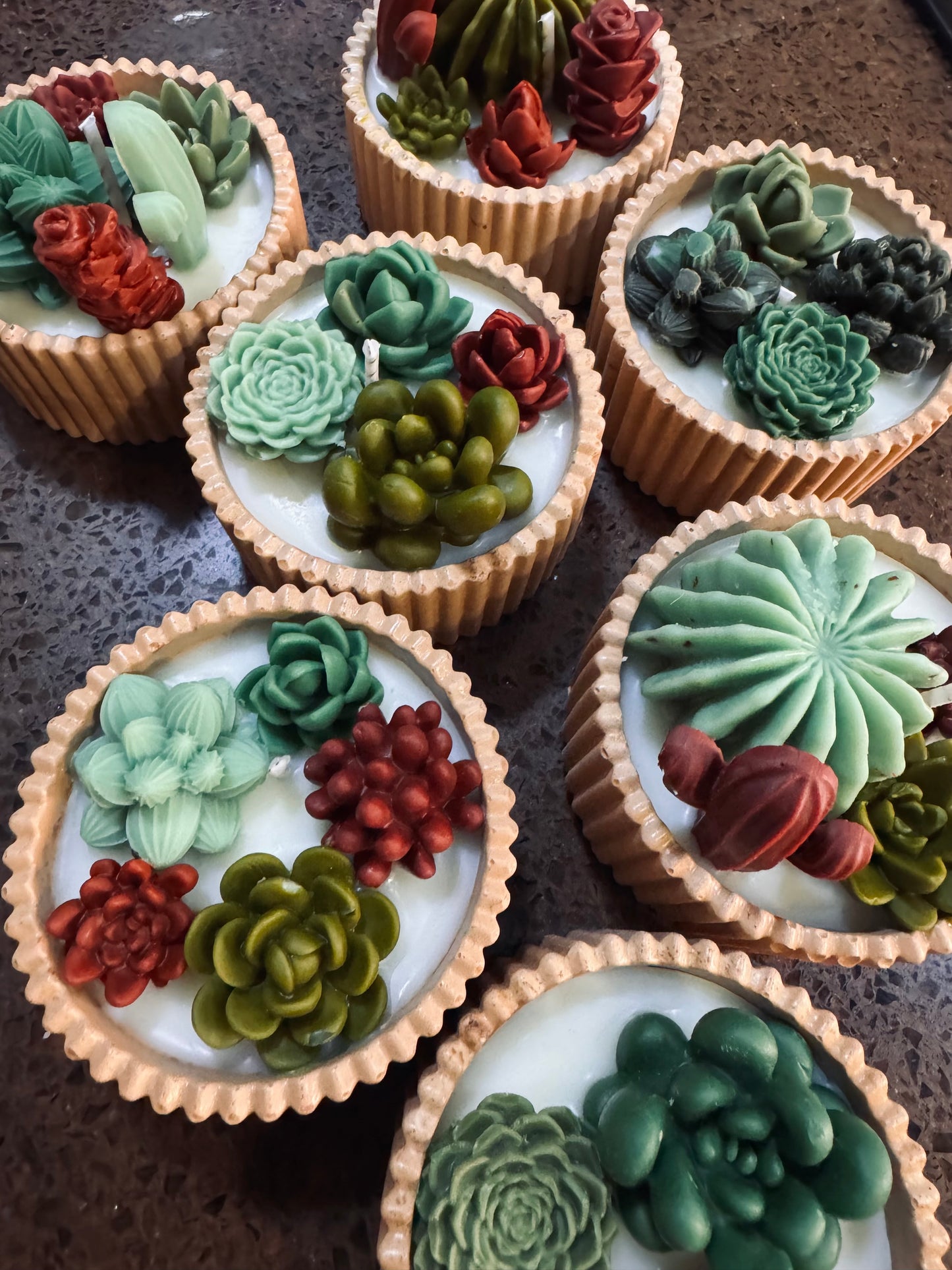 MINI CACTARIO