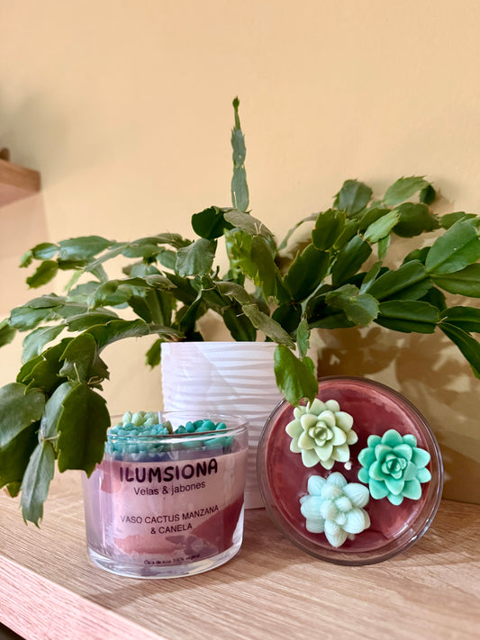 VASO CACTUS