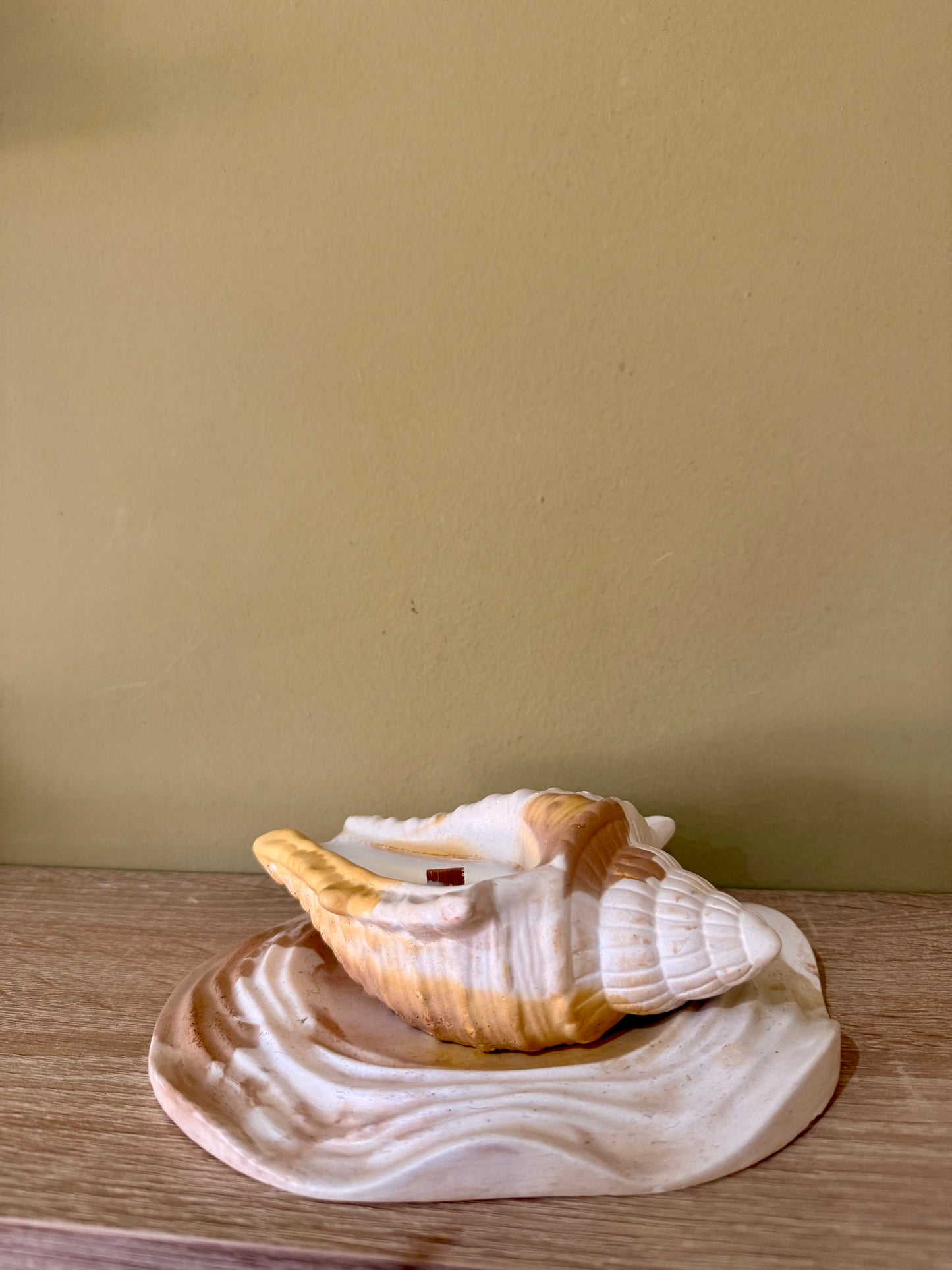 CARACOLA ZEN
