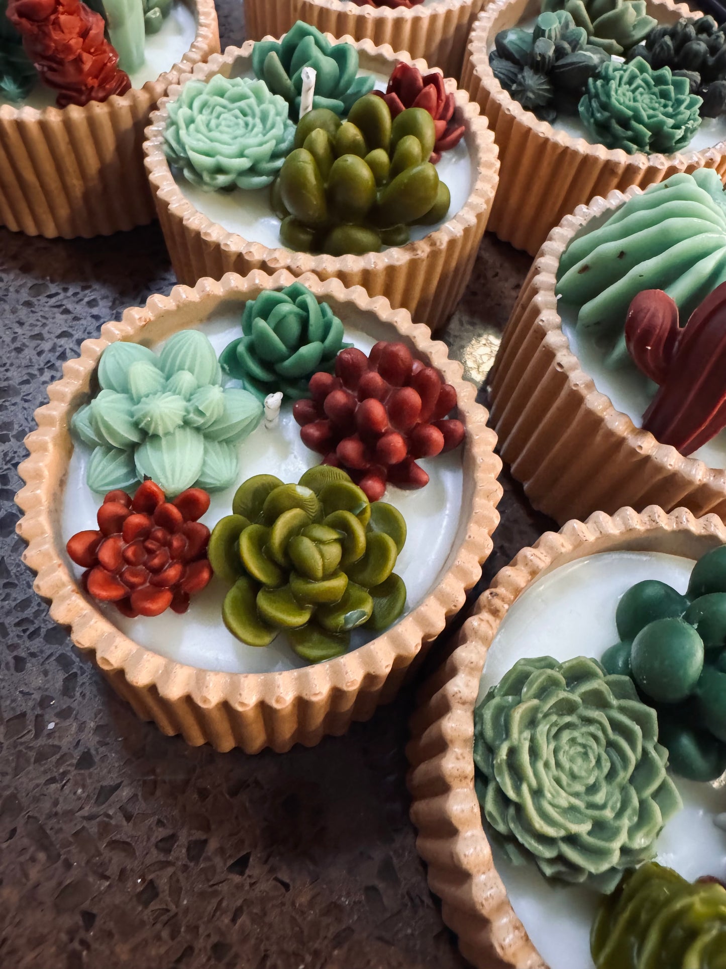 MINI CACTARIO